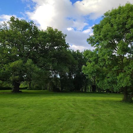 Gite De La Janiere Sainte-Luce-sur-Loire Luaran gambar