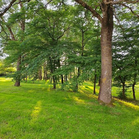 Gite De La Janiere Sainte-Luce-sur-Loire Luaran gambar