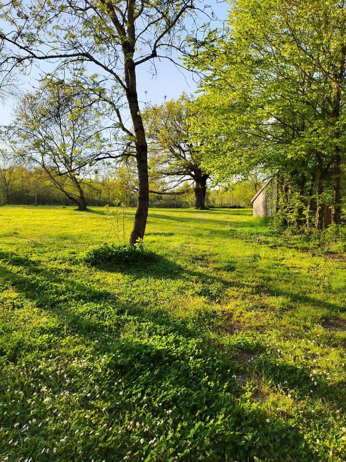 Gite De La Janiere Sainte-Luce-sur-Loire Luaran gambar