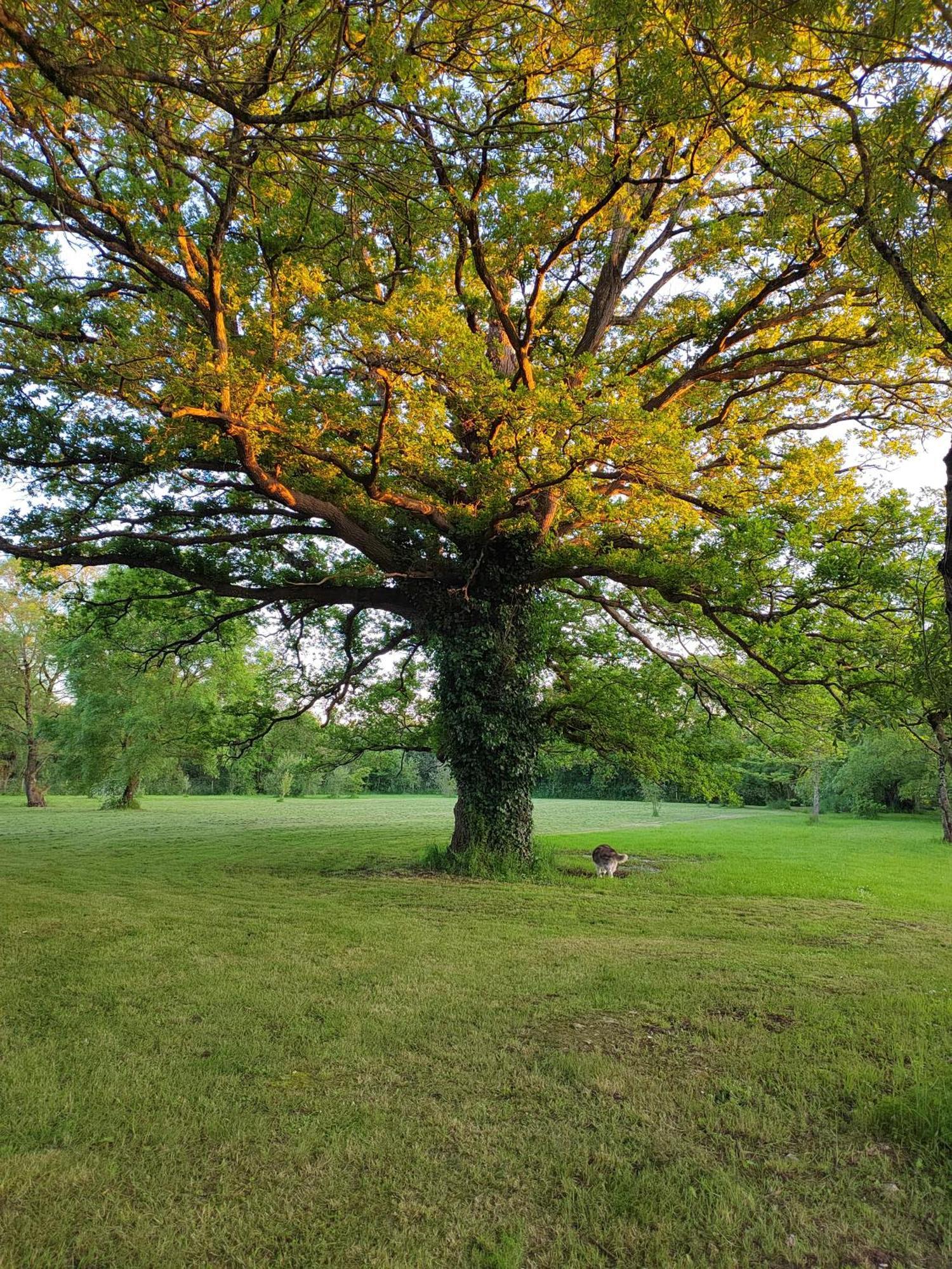 Gite De La Janiere Sainte-Luce-sur-Loire Luaran gambar