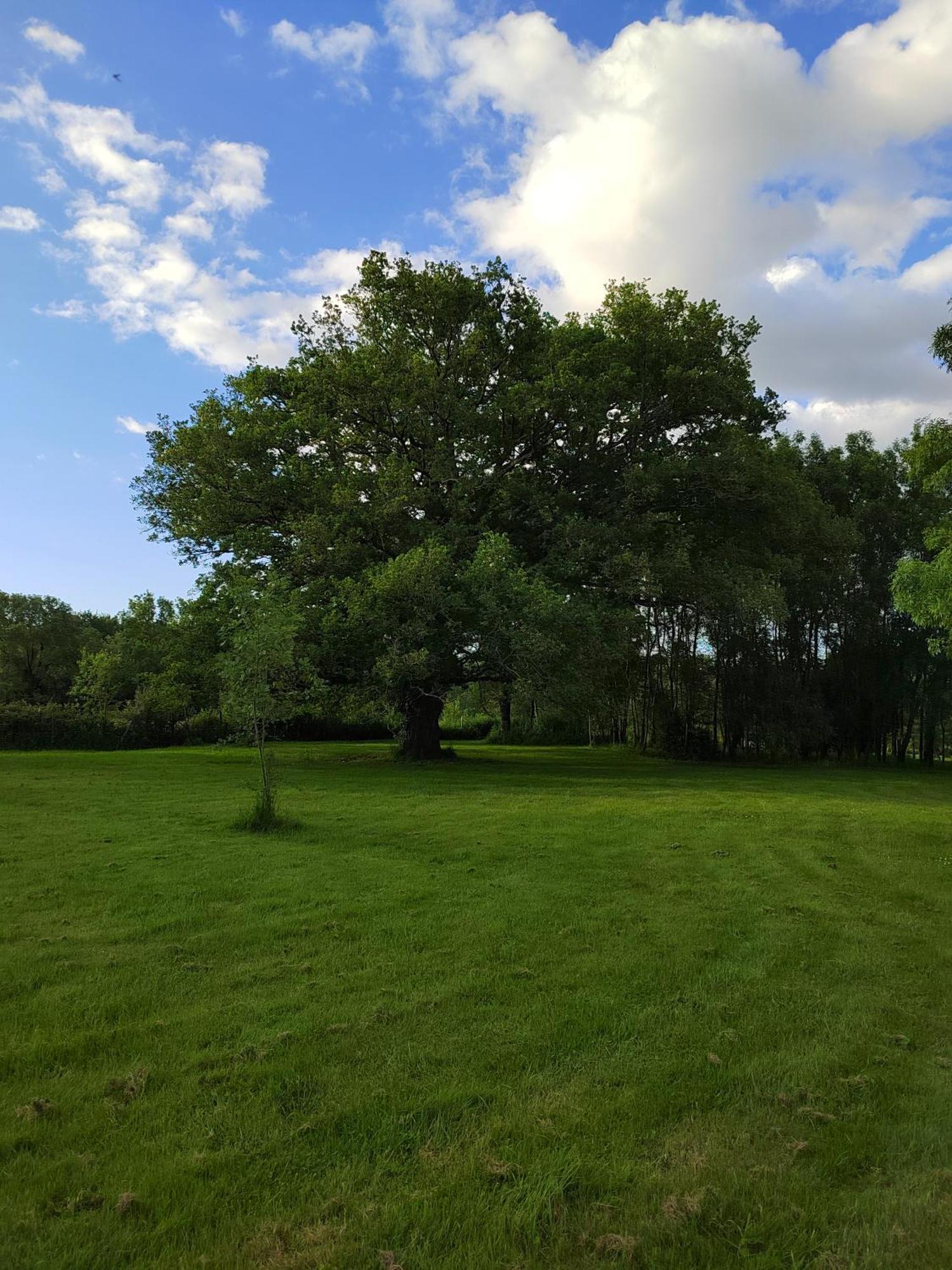 Gite De La Janiere Sainte-Luce-sur-Loire Luaran gambar