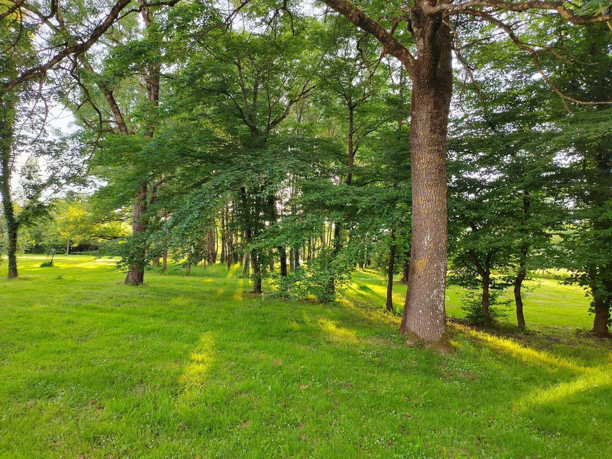 Gite De La Janiere Sainte-Luce-sur-Loire Luaran gambar