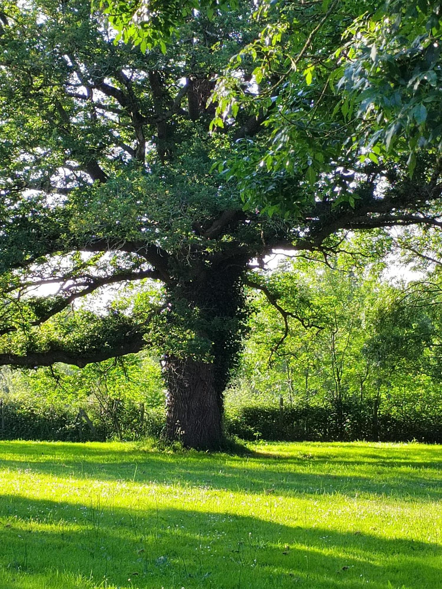 Gite De La Janiere Sainte-Luce-sur-Loire Luaran gambar